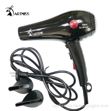 Professional Ionic Hair Dryer #8300